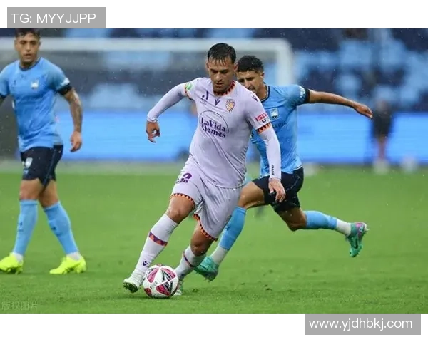 水手主场迎战珀斯全力争胜分析与预测