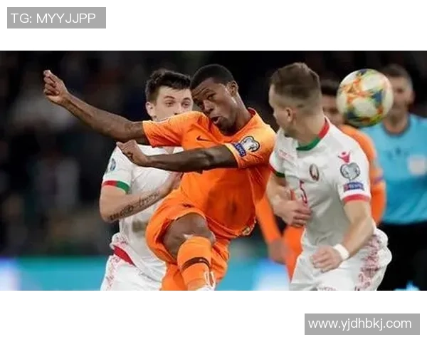 白俄罗斯与荷兰足球最新对战数据分析及预测