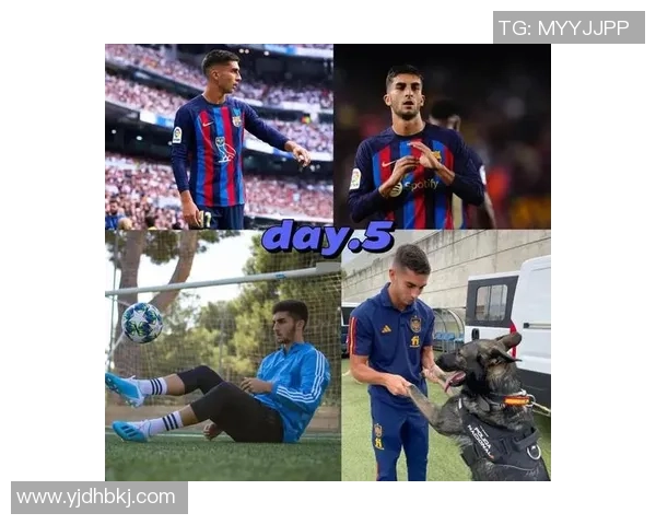 费兰托雷斯的崛起之路：从青训天才到足球巨星的传奇旅程