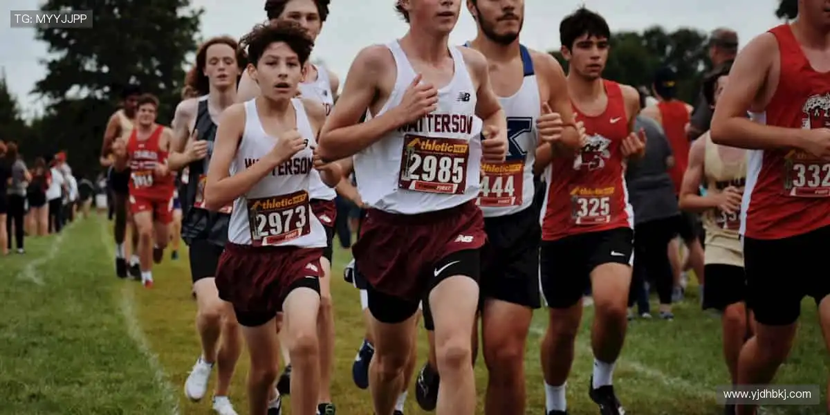 📺 一键直击,赛事瞬间零时差!